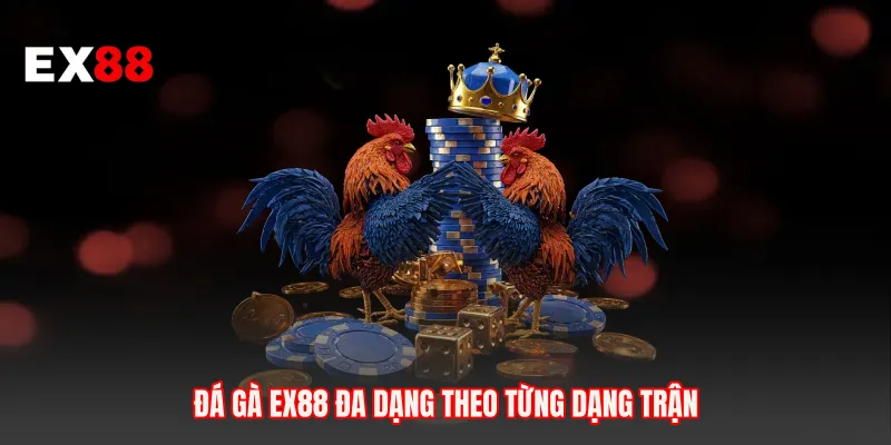 Đá gà EX88 đa dạng theo từng dạng trận 