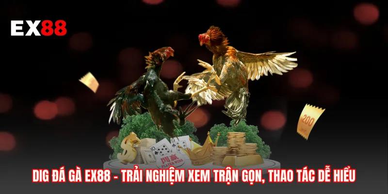 DIG Đá Gà EX88 - Trải Nghiệm Xem Trận Gọn, Thao Tác Dễ Hiểu